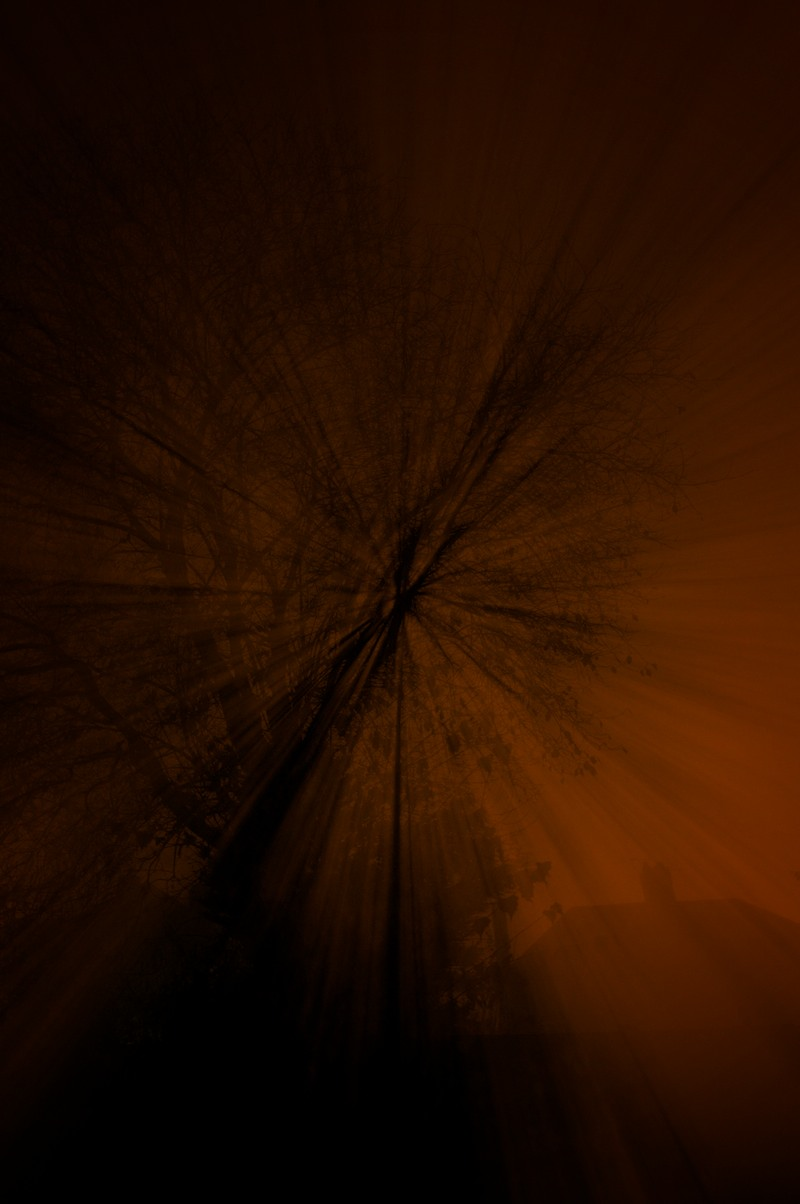 Illustration for article titled Zoom Photo Challenge Gallery 2